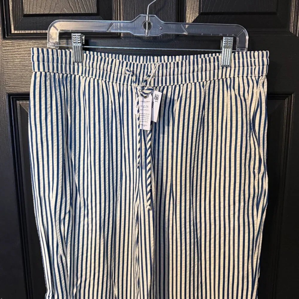 NWT American Eagle Wide Leg Stripe Pants Lightweight Blue White Medium - Picture 3 of 6